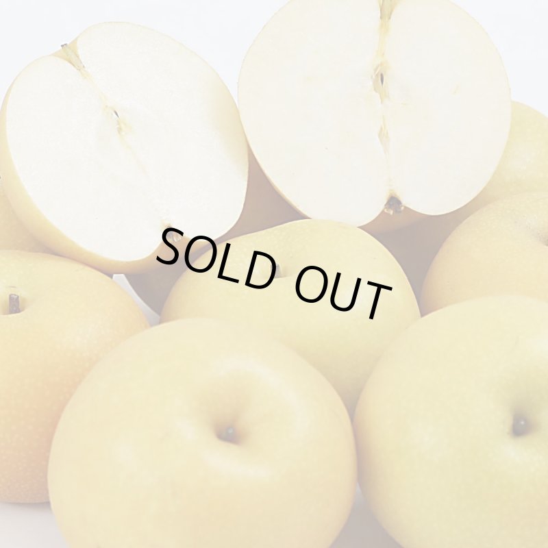 愛媛フルーツショップ段々畑 秋月梨 100％ストレート果汁ジュース 詰め合わせセット