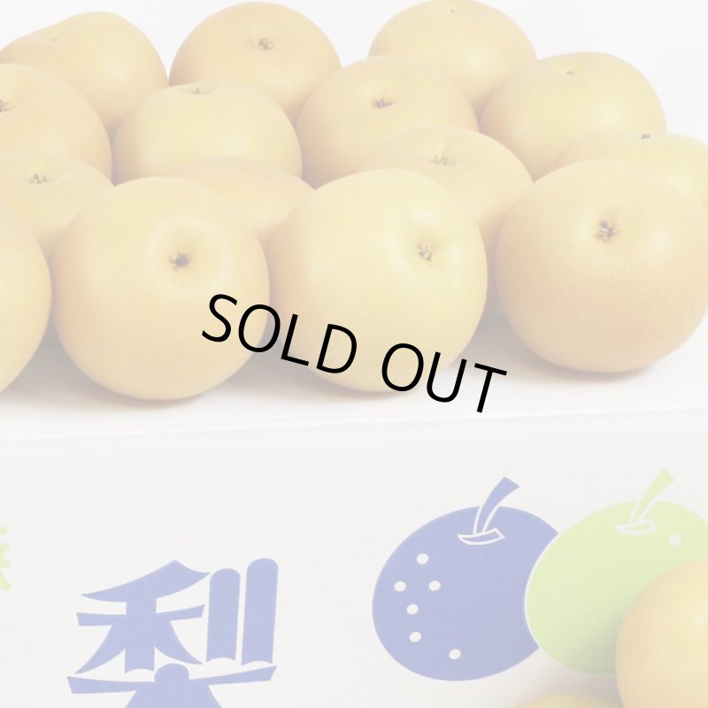 愛媛フルーツショップ段々畑 秋月梨 自然の恵み 小玉10ｋｇ