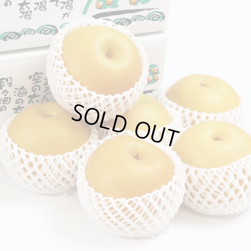 愛媛フルーツショップ段々畑 秋月梨 ギフト用10ｋｇ