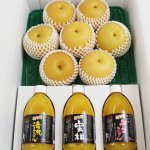愛媛フルーツショップ段々畑 秋月梨 100％ストレート果汁ジュース 詰め合わせセット