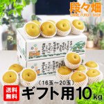 愛媛フルーツショップ段々畑 秋月梨 ギフト用10ｋｇ