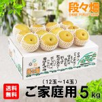 愛媛フルーツショップ段々畑 秋月梨 ご家庭用5ｋｇ