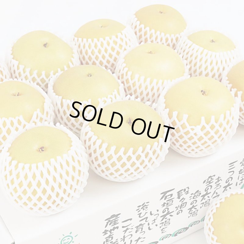 愛媛フルーツショップ段々畑 秋月梨 ご家庭用5ｋｇ