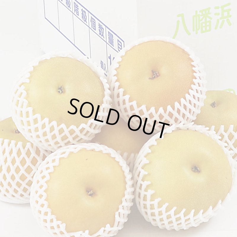 愛媛フルーツショップ段々畑 秋月梨 ご家庭用10ｋｇ