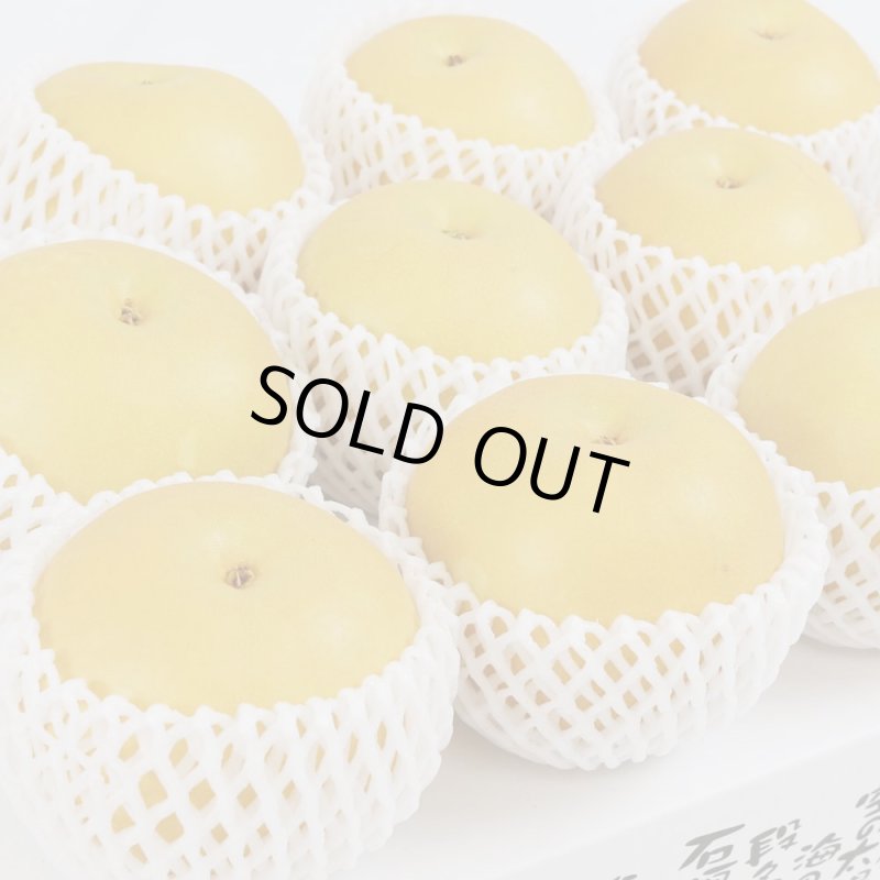 愛媛フルーツショップ段々畑 秋月梨 ギフト用5ｋｇ