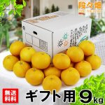 画像1: 愛媛県産 甘夏 ギフト用 9kg (1)