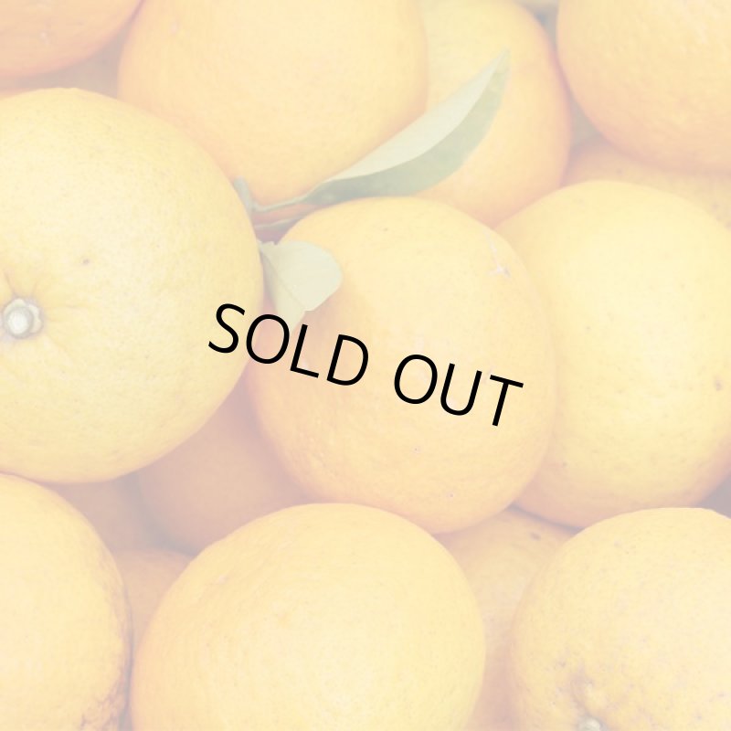 画像2: 愛媛県産 甘夏 自然の恵み(訳あり・傷あり）9kg (2)