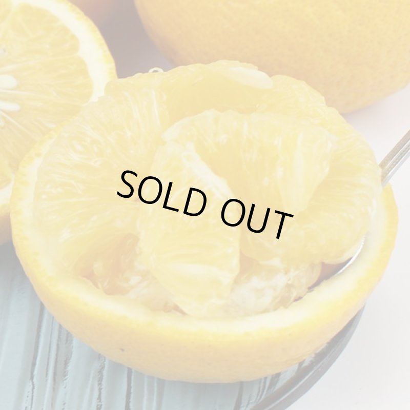 画像3: 愛媛県産 サンフルーツ ギフト用 9kg (3)