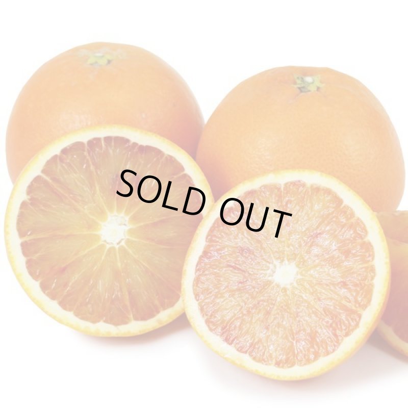 画像3: 愛媛県産 ブラッドオレンジ ご家庭用 10kg (3)