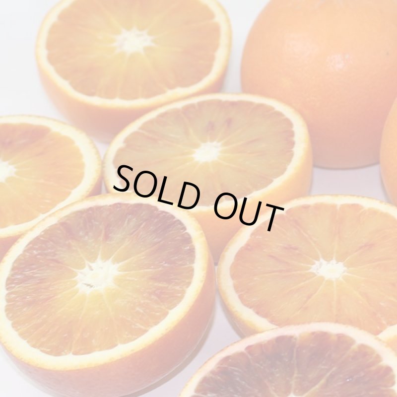 画像2: 愛媛県産 ブラッドオレンジ ご家庭用 10kg (2)