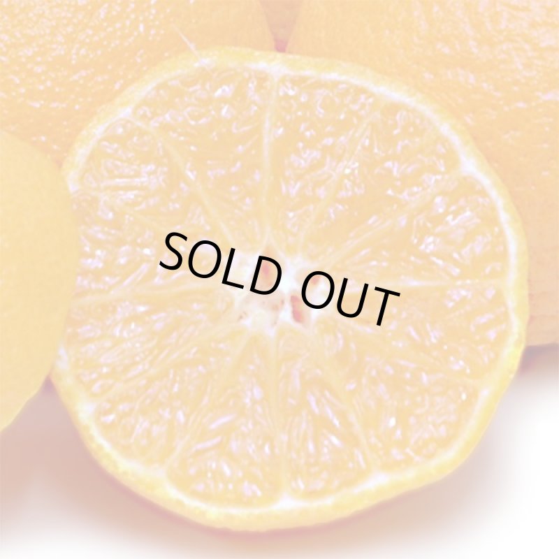 画像4: 愛媛県産 デコスケ ご家庭用5kg (4)