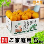 画像1: 愛媛県産 デコスケ ご家庭用5kg (1)