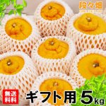 画像3: 愛媛県産 デコスケ ギフト用5kg (3)