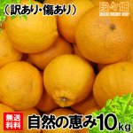 画像3: 愛媛県産 デコスケ 自然の恵み(訳あり・傷あり）10kg (3)