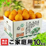 画像1: 愛媛県産 デコスケ ご家庭用10kg (1)