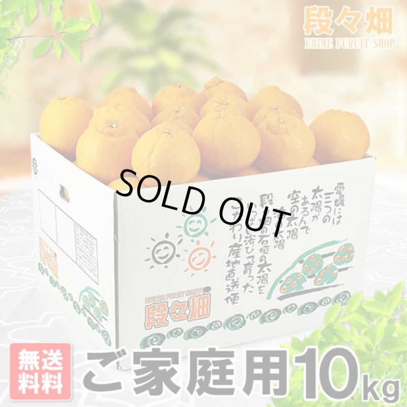 画像1: 愛媛県産 デコスケ ご家庭用10kg (1)