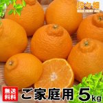 画像3: 愛媛県産 デコスケ ご家庭用5kg (3)