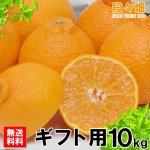 画像2: 愛媛県産 デコスケ ギフト用10kg (2)