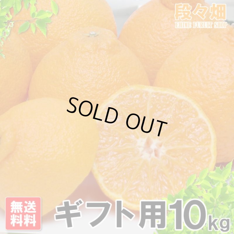 画像2: 愛媛県産 デコスケ ギフト用10kg (2)