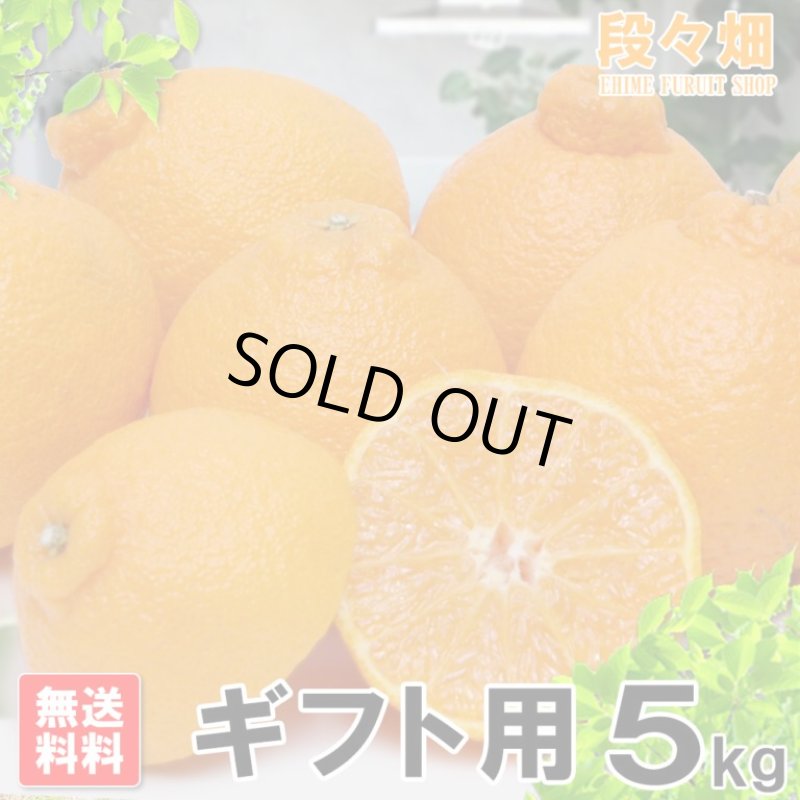 画像2: 愛媛県産 デコスケ ギフト用5kg (2)