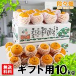 画像1: 愛媛県産 デコスケ ギフト用10kg (1)