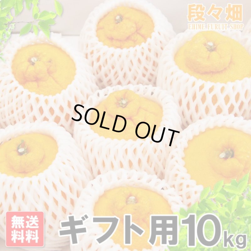 画像3: 愛媛県産 デコスケ ギフト用10kg (3)