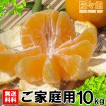 画像2: 愛媛県産 デコスケ ご家庭用10kg (2)