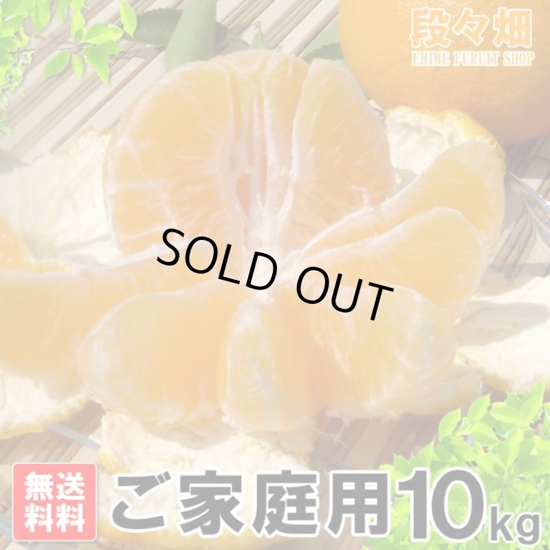 画像2: 愛媛県産 デコスケ ご家庭用10kg (2)