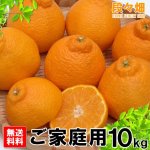 画像3: 愛媛県産 デコスケ ご家庭用10kg (3)