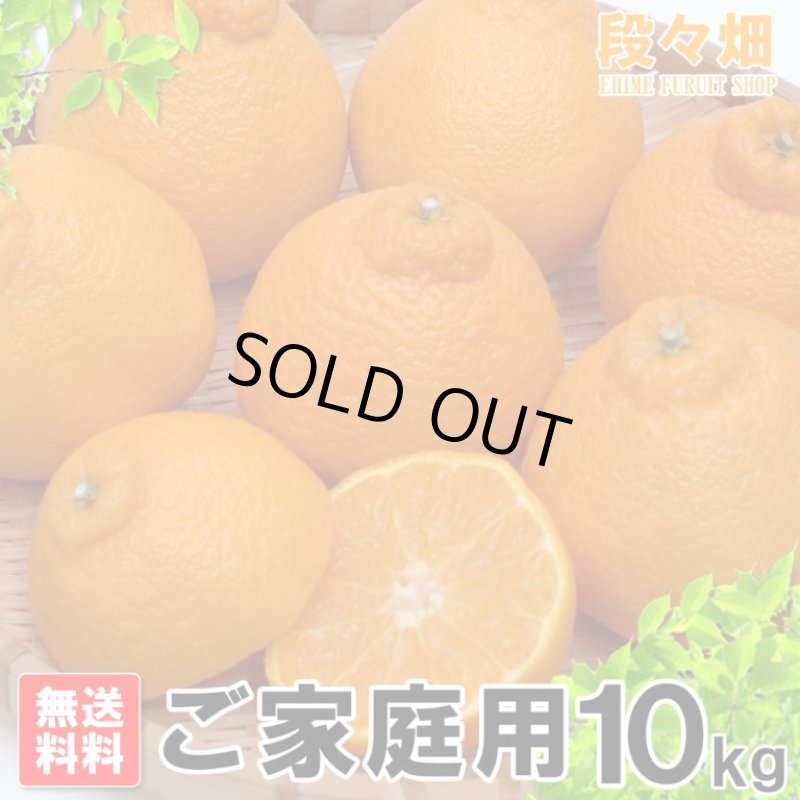 画像3: 愛媛県産 デコスケ ご家庭用10kg (3)