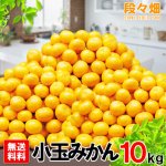 画像2: 愛媛県産 愛媛みかん 小玉５kg (2)