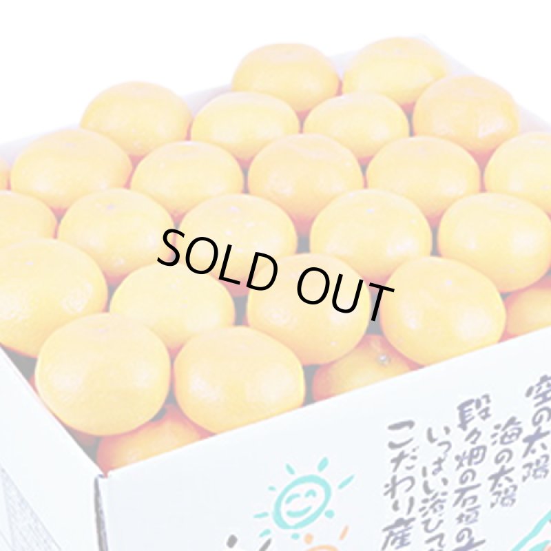 画像2: 愛媛県産 愛媛みかん ギフト用10kg (2)