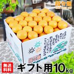 画像1: 愛媛県産 愛媛みかん ギフト用10kg (1)