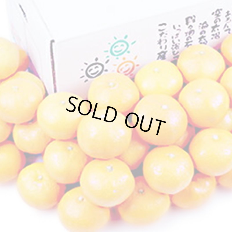 画像2: 愛媛県産 愛媛みかん ご家庭用5kg (2)