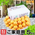 画像1: 愛媛県産 愛媛みかん ご家庭用5kg (1)