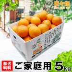 画像1: 愛媛県産 媛まどんな ご家庭用５kg (1)