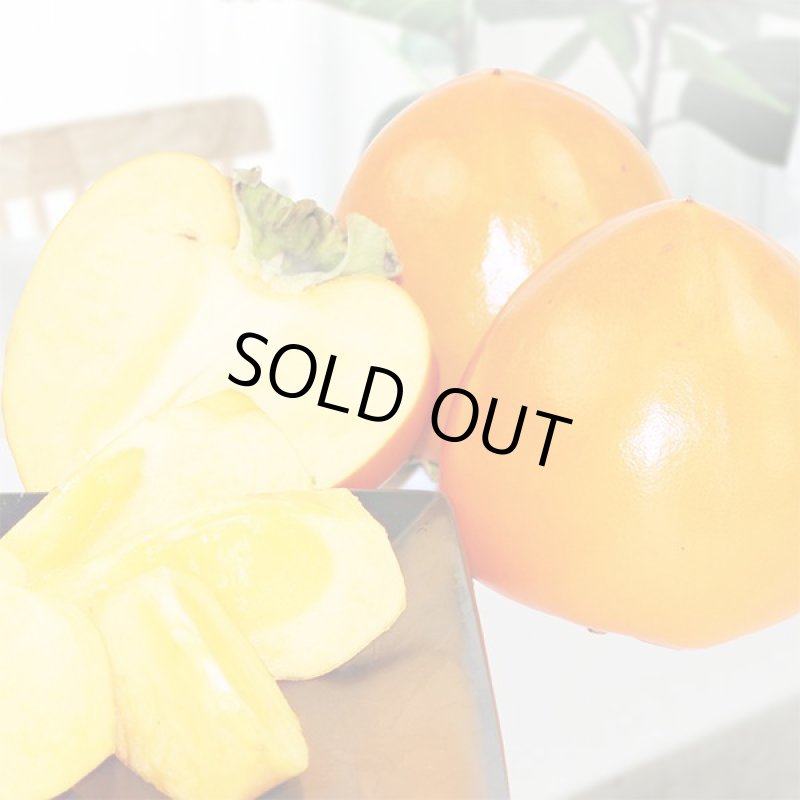 画像4: 愛媛県産 富士柿 ご家庭用 5kg (4)