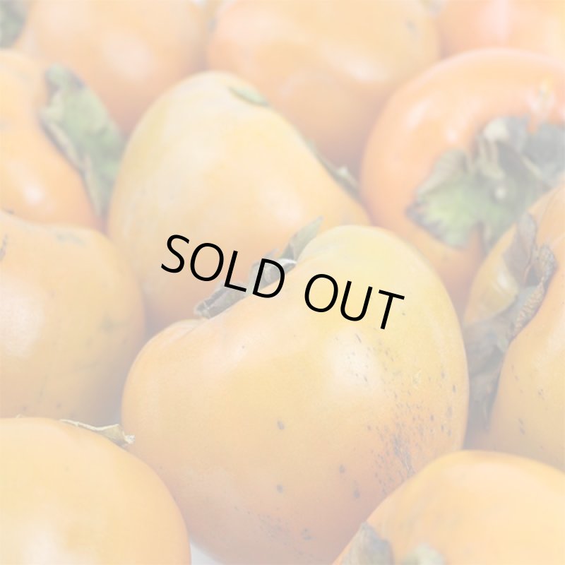 画像2: 愛媛県産 富士柿 自然の恵み 10kg (訳あり・傷あり） (2)