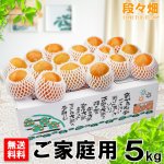 画像1: 愛媛県産 富士柿 ご家庭用 5kg (1)