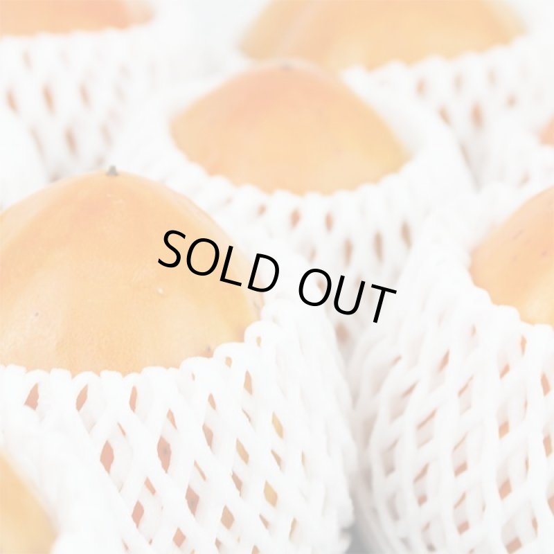 画像2: 愛媛県産 富士柿 ギフト用 10kg (2)