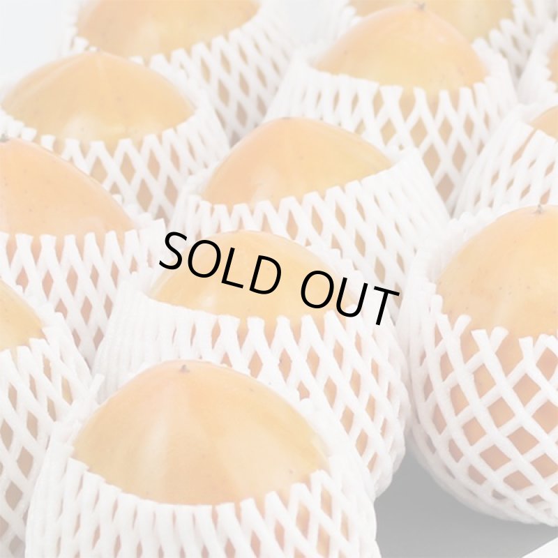 画像2: 愛媛県産 富士柿 ご家庭用 5kg (2)