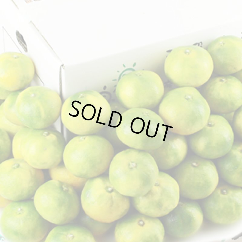 画像2: 愛媛県産 極早生みかん ご家庭用10kg (2)