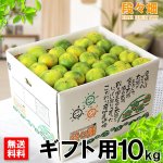 画像1: 愛媛県産 極早生みかん ギフト用10kg (1)