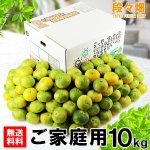 画像1: 愛媛県産 極早生みかん ご家庭用10kg (1)