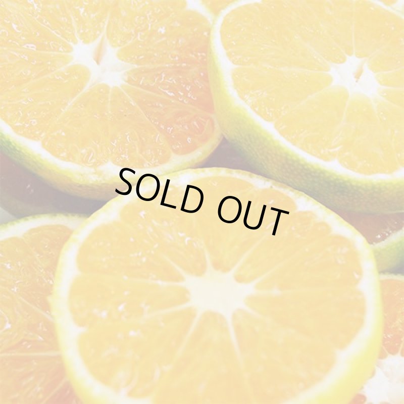 画像3: 愛媛県産 極早生みかん ご家庭用10kg (3)