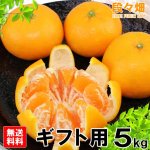 画像3: 愛媛県産 はれひめ ギフト用５kg (3)