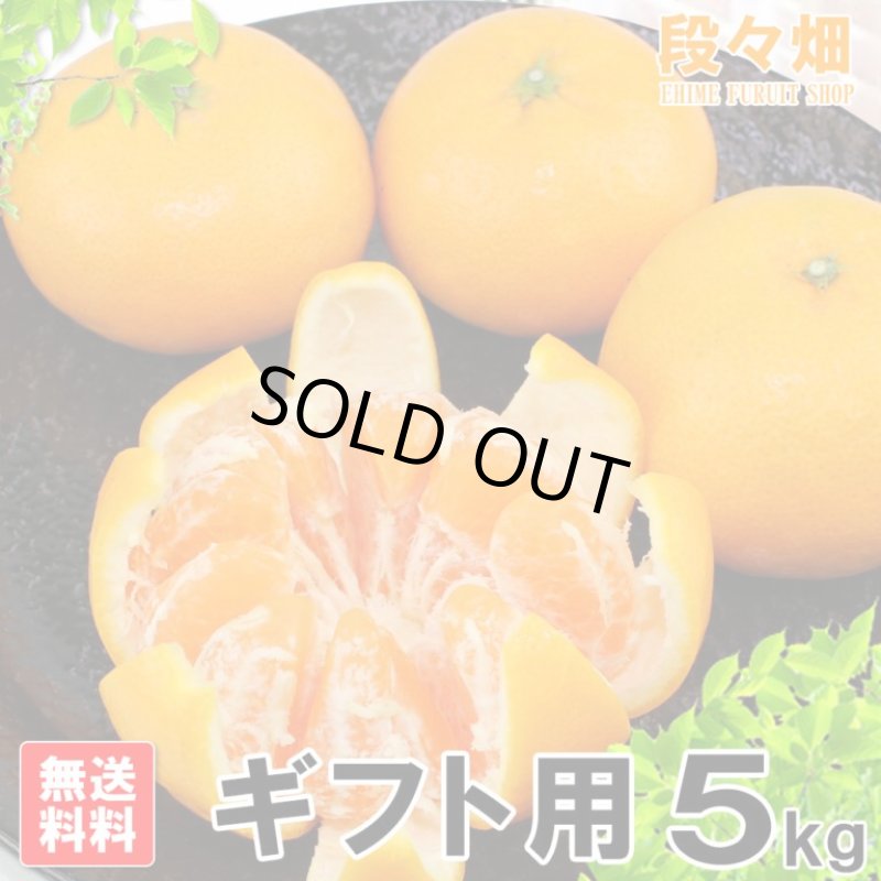画像3: 愛媛県産 はれひめ ギフト用５kg (3)