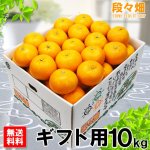 画像1: 愛媛県産 はれひめ ギフト用10kg (1)