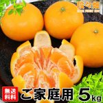 画像2: 愛媛県産 はれひめ ご家庭用５kg (2)