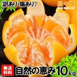 画像3: 愛媛県産 はれひめ 自然の恵み(訳あり・傷あり）10kg (3)